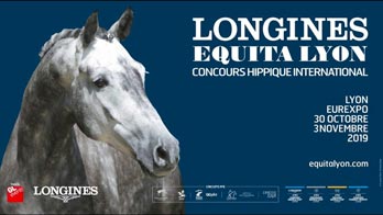 Chevaux mutilés : La mystérieuse affaire qui inquiète les cavaliers