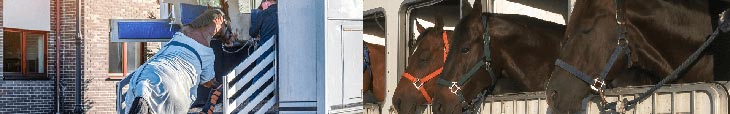 description-transporteur-chevaux