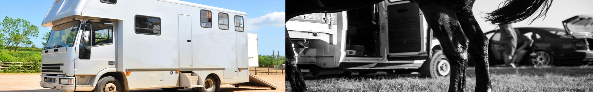 bannière-Assurance camion porte chevaux