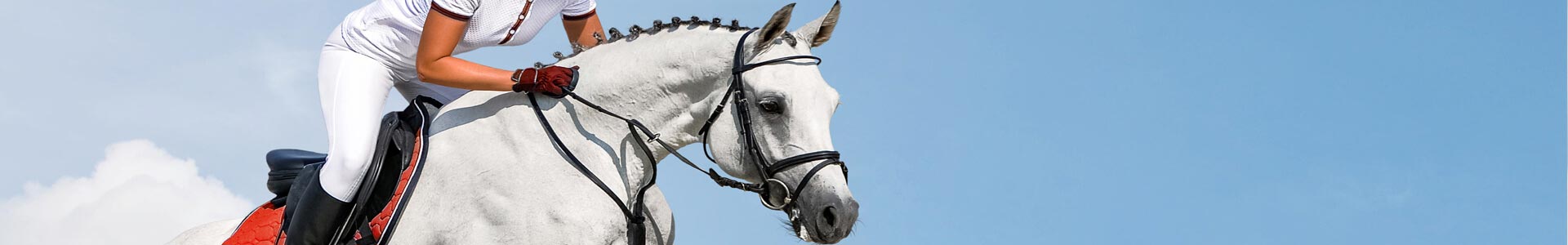 bannière-Assurance Cavalier