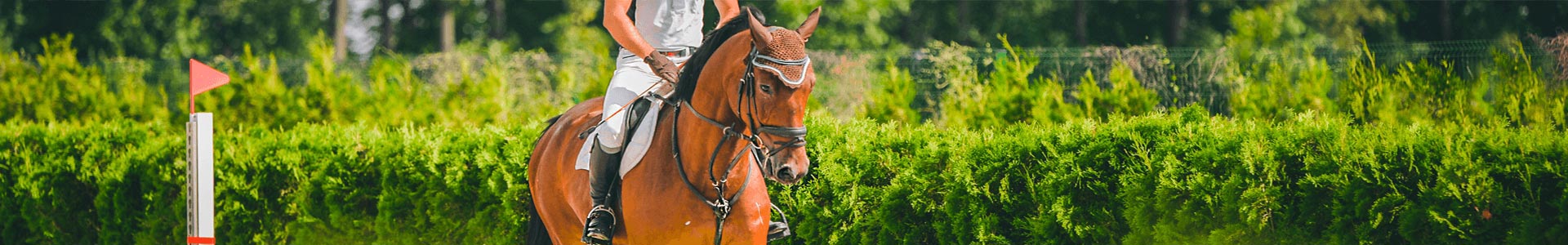 bannière-Assurance Moniteur d'équitation