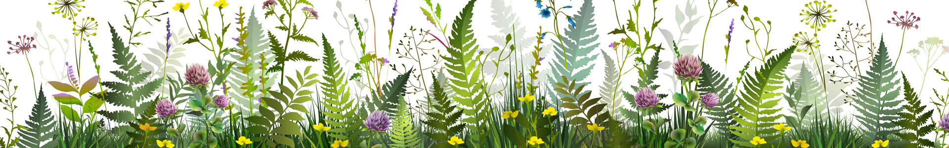 bannière-Assurance Algotherapeute phytotherapeute équin