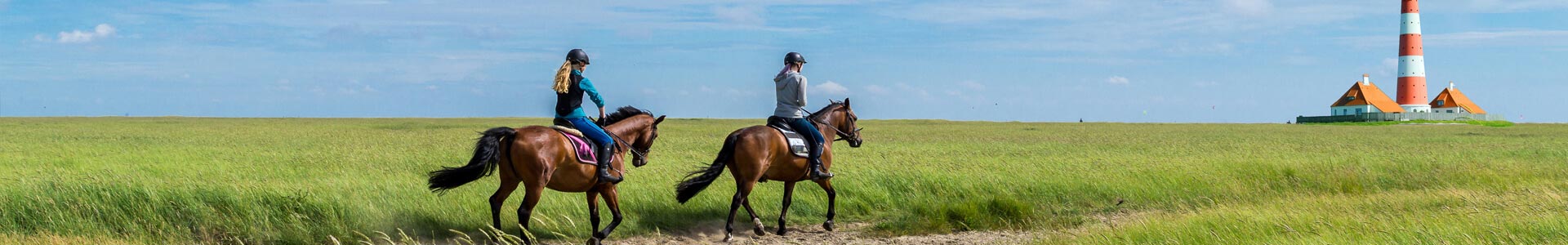 bannière-Responsabilité civile en action d’équitation