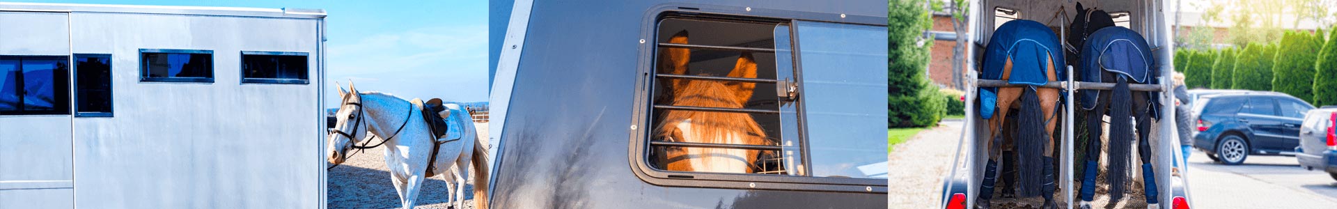 bannière-Assurance Transporteur de chevaux